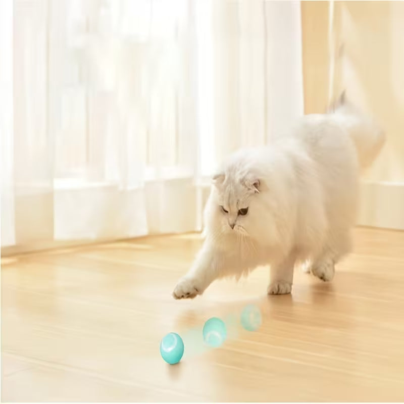Smart Toy Cat Ball