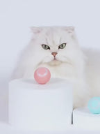 Smart Toy Cat Ball